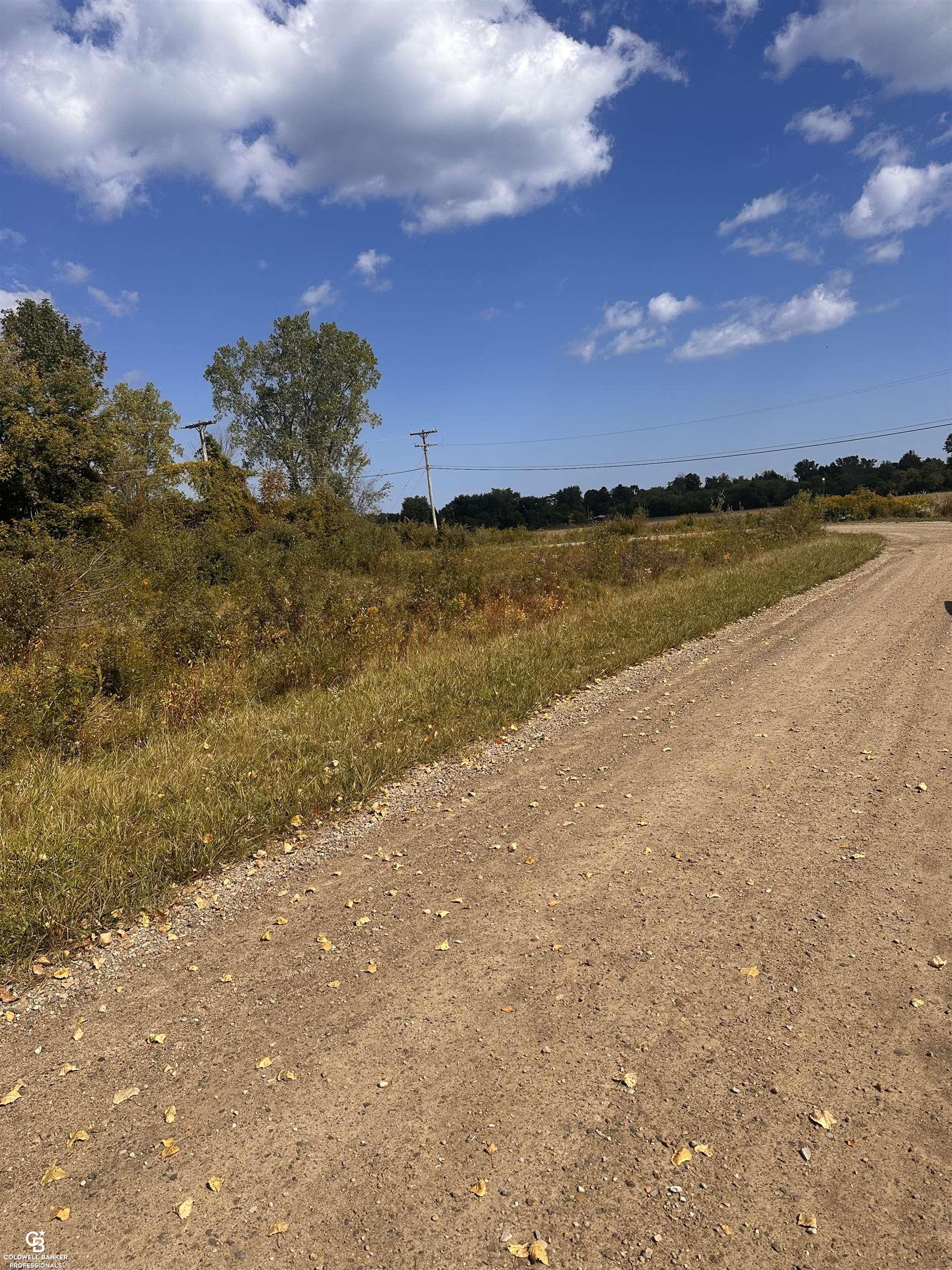 Vl Dian Road Lexington, MI 48450 - Photo 6 of 9