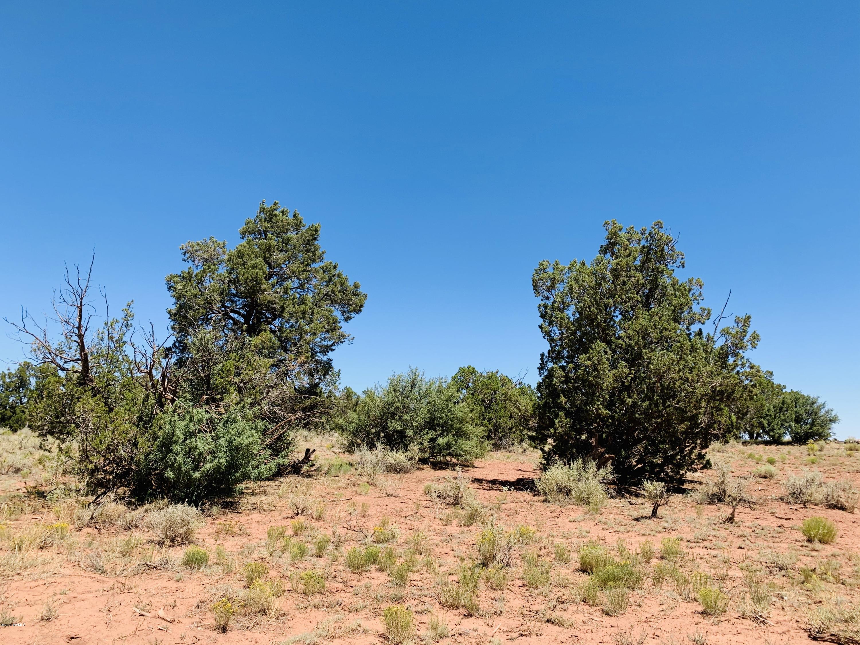 2140 South Spring Street Williams, AZ 86046 - Photo 6 of 7 2139 S Laguna DR Photo 6
