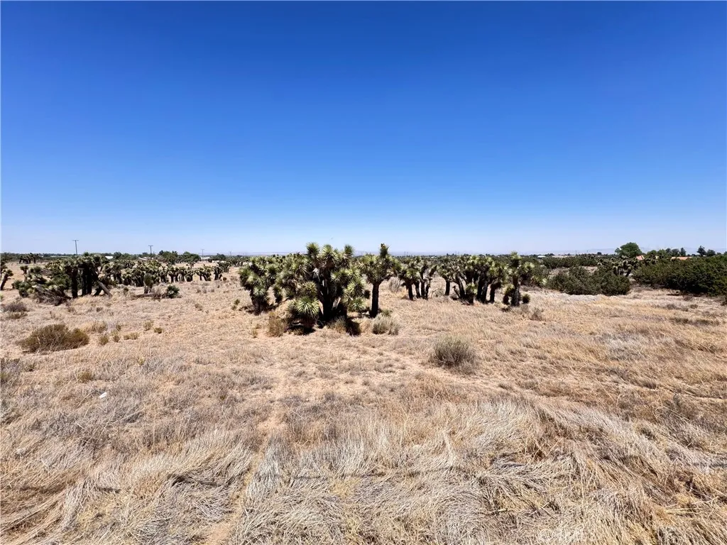 0 Sunnyslope Road Phelan, CA 92371 - Photo 12 of 17
