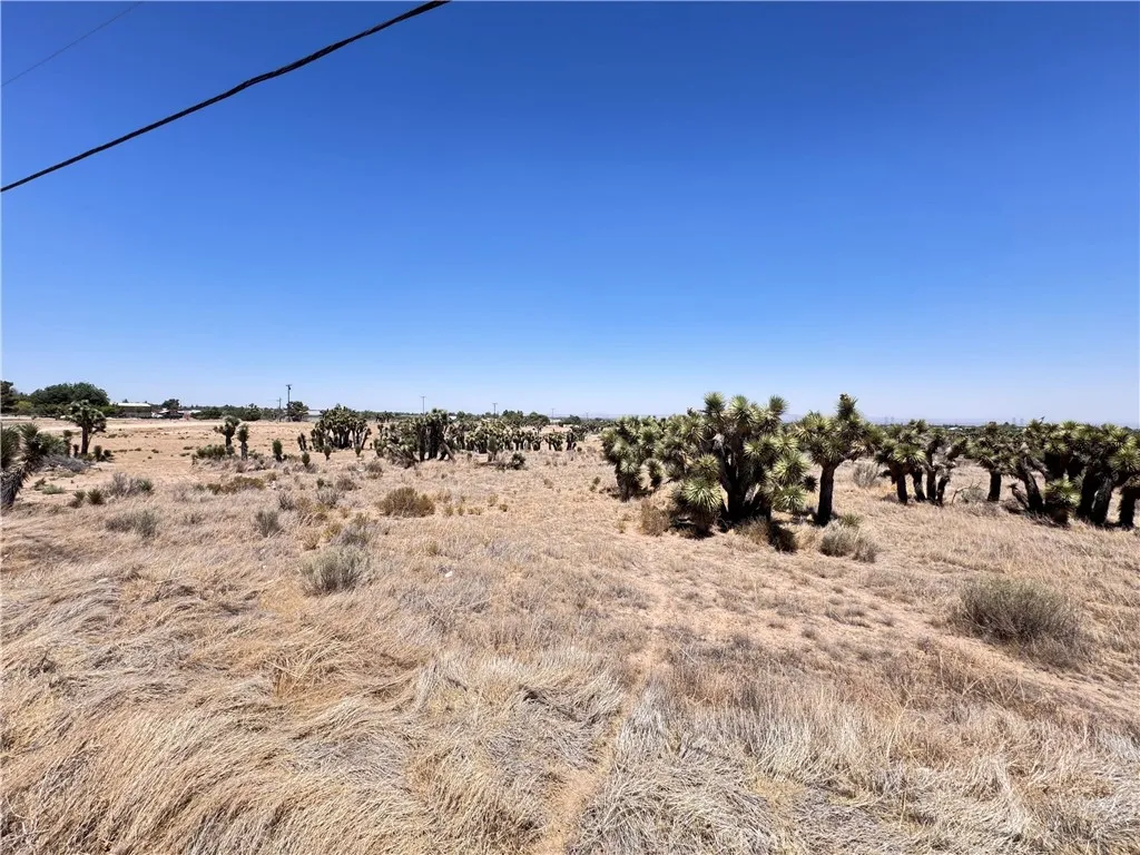 0 Sunnyslope Road Phelan, CA 92371 - Photo 13 of 17