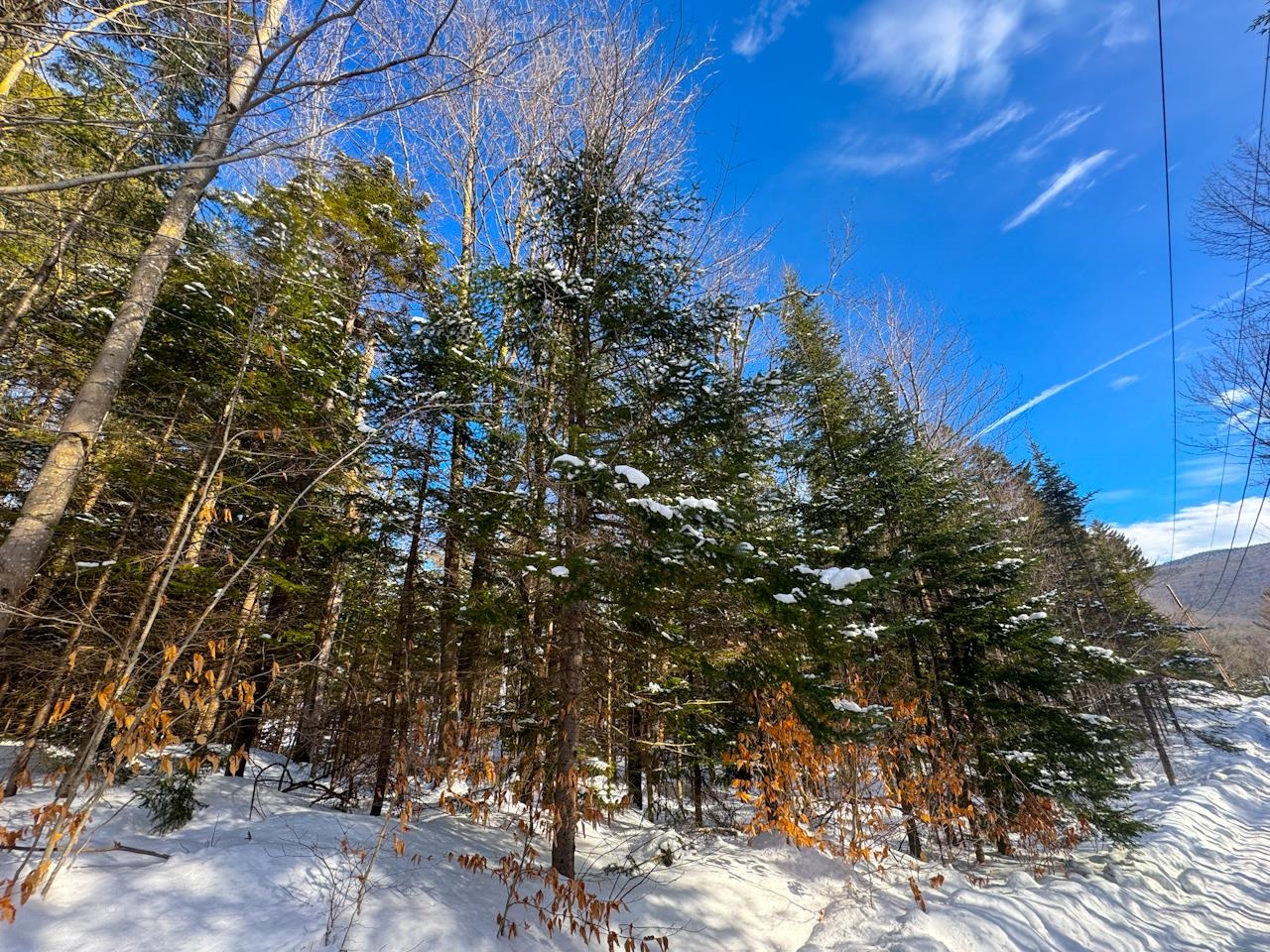 0 Beech Street Warren, VT 05674 - Photo 1 of 40