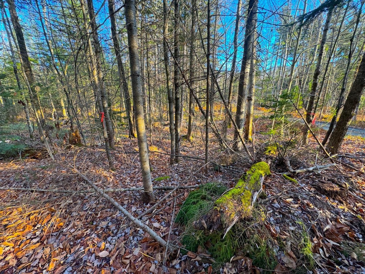 0 Beech Street Warren, VT 05674 - Photo 11 of 40