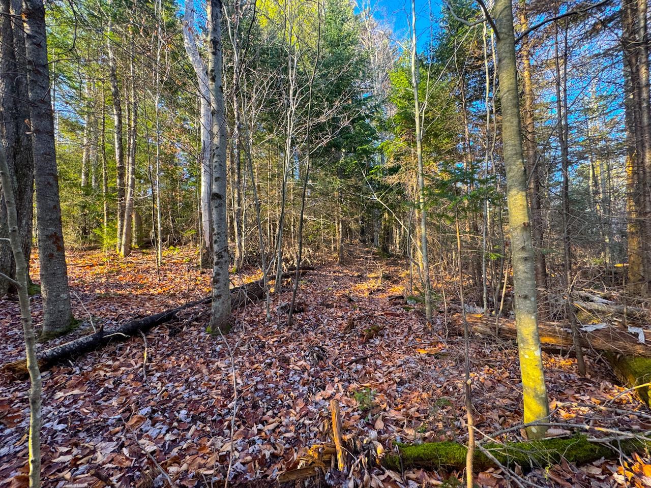 0 Beech Street Warren, VT 05674 - Photo 12 of 40