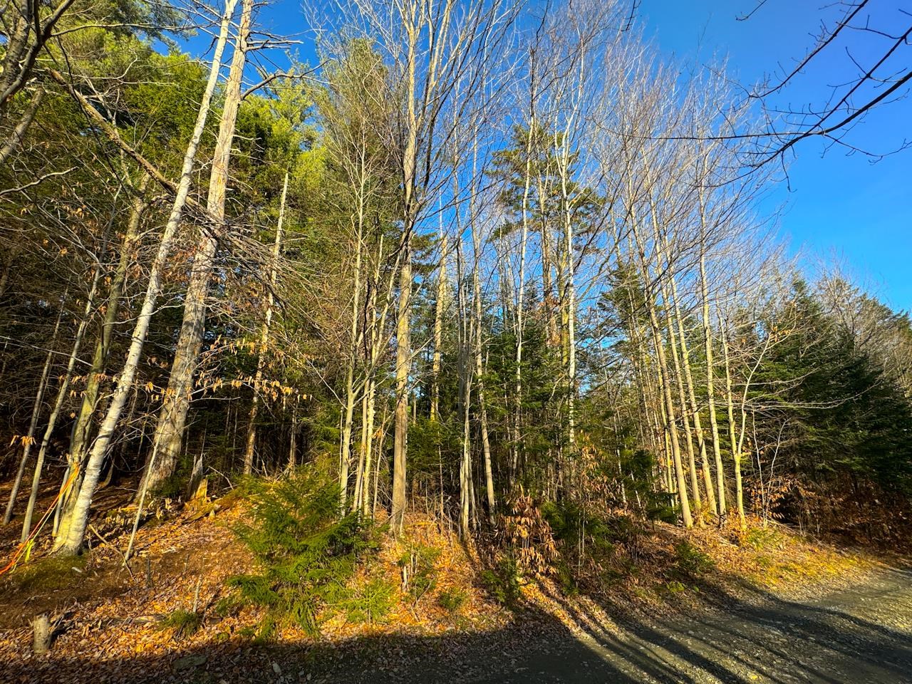 0 Beech Street Warren, VT 05674 - Photo 16 of 40
