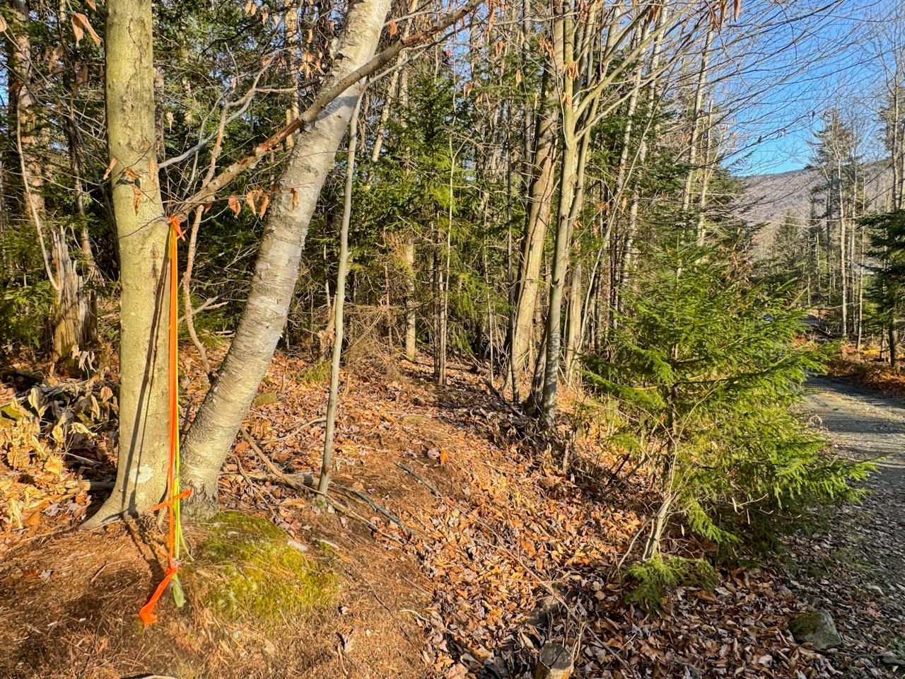 0 Beech Street Warren, VT 05674 - Photo 20 of 40