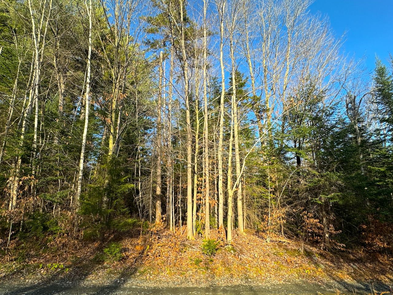 0 Beech Street Warren, VT 05674 - Photo 22 of 40