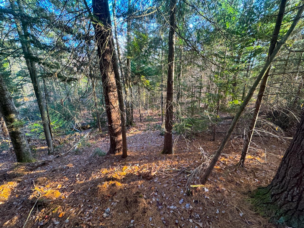 0 Beech Street Warren, VT 05674 - Photo 24 of 40