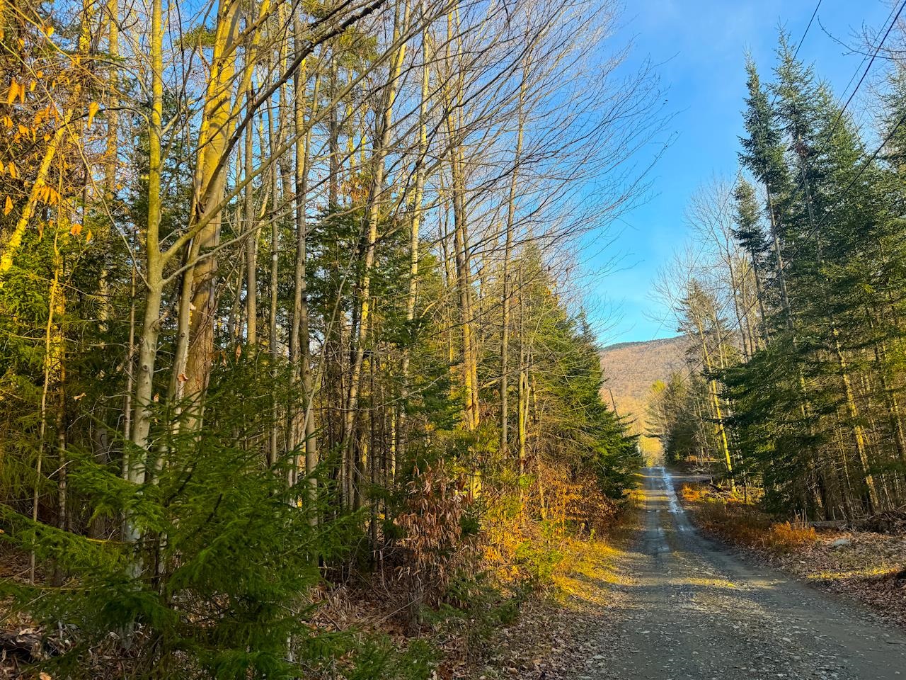 0 Beech Street Warren, VT 05674 - Photo 26 of 40