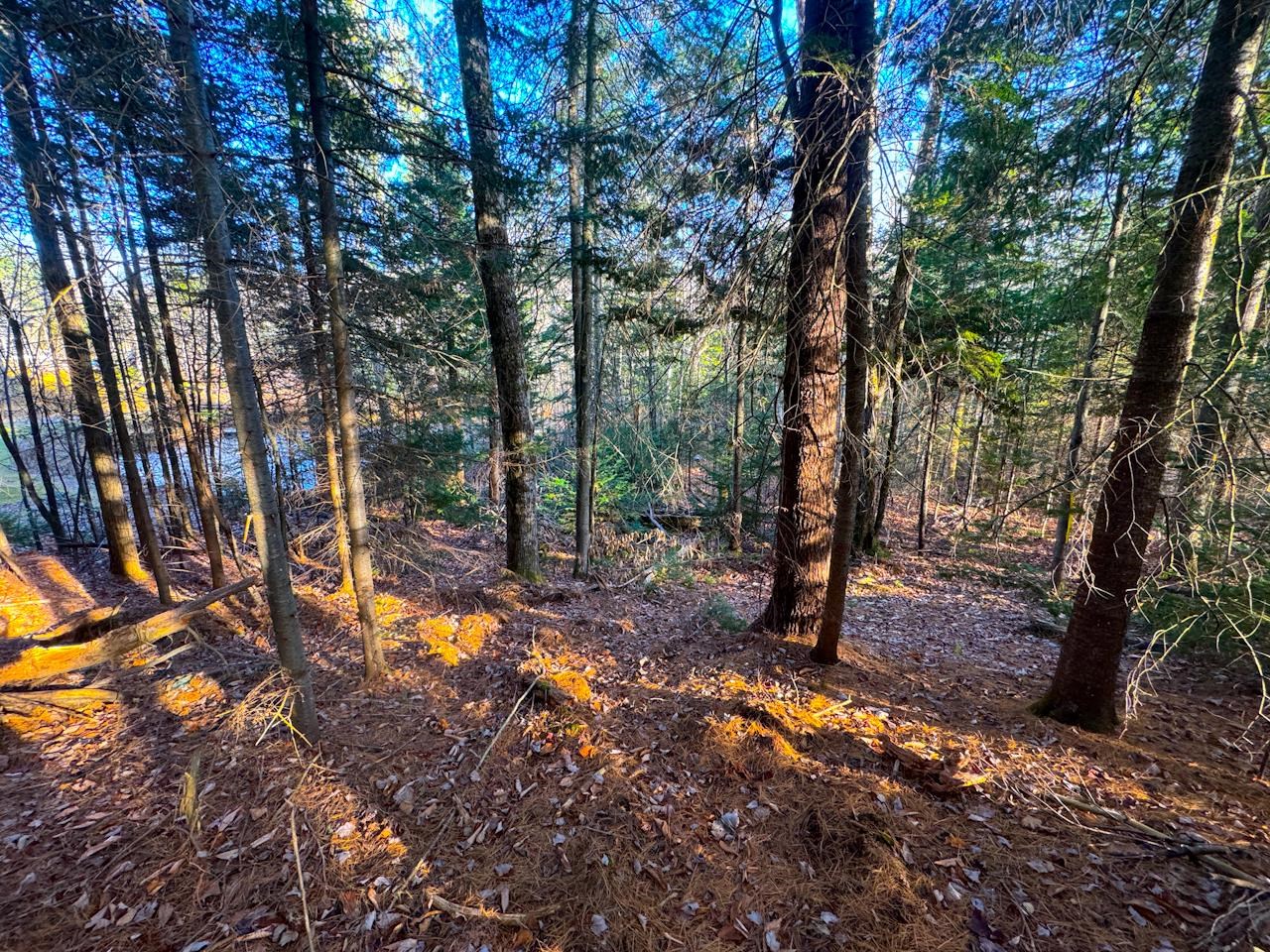 0 Beech Street Warren, VT 05674 - Photo 27 of 40