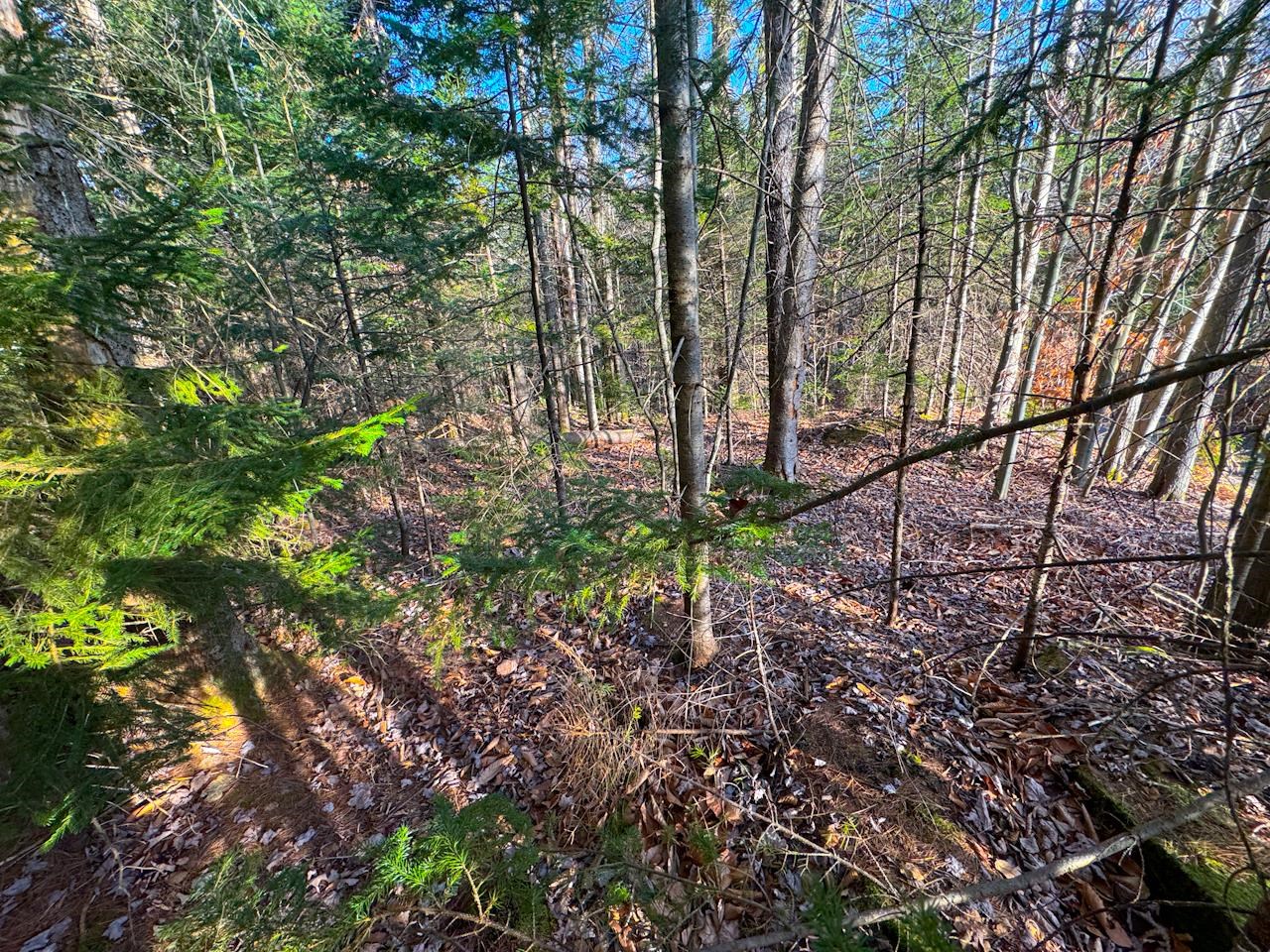 0 Beech Street Warren, VT 05674 - Photo 30 of 40