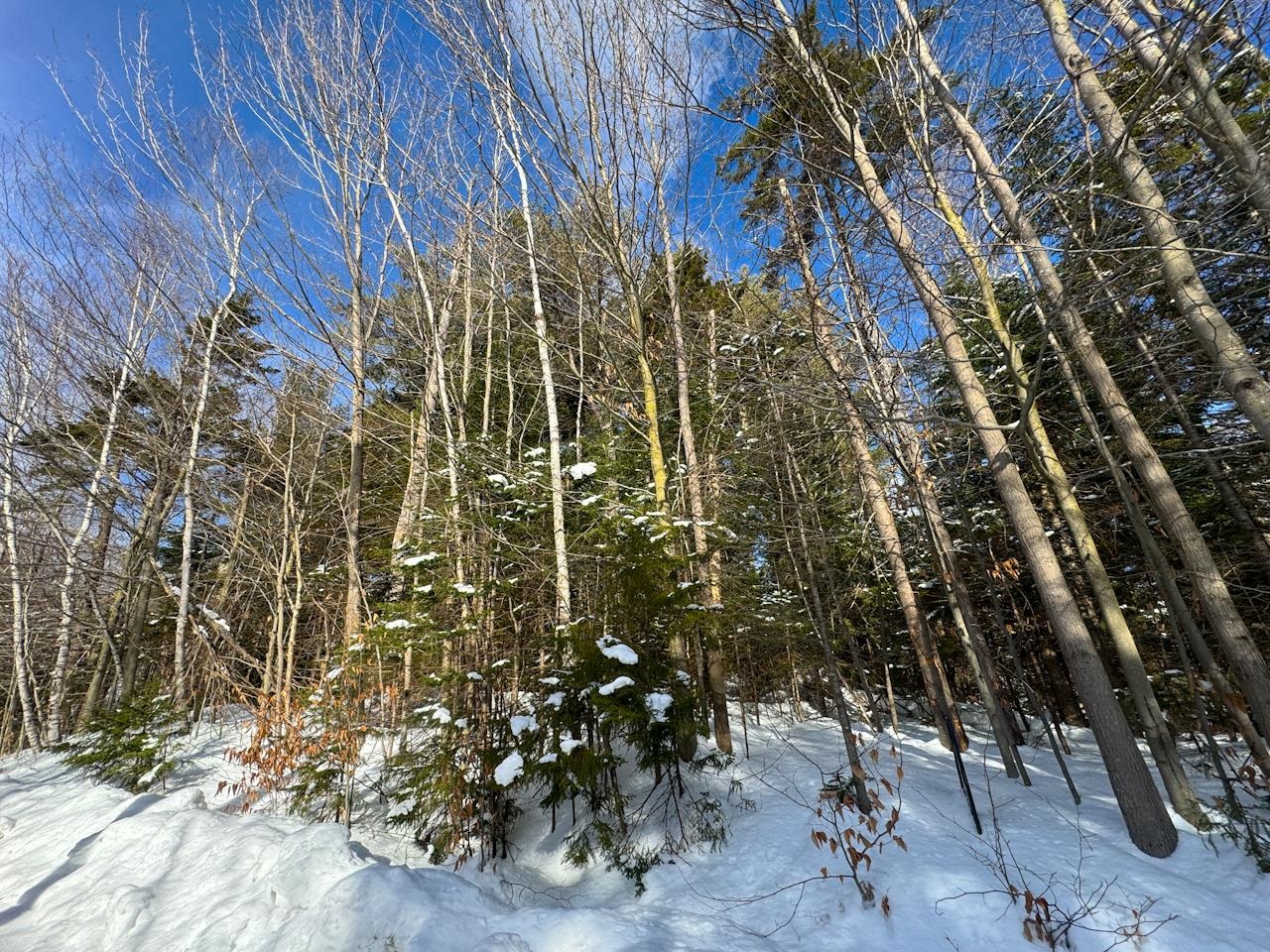 0 Beech Street Warren, VT 05674 - Photo 38 of 40