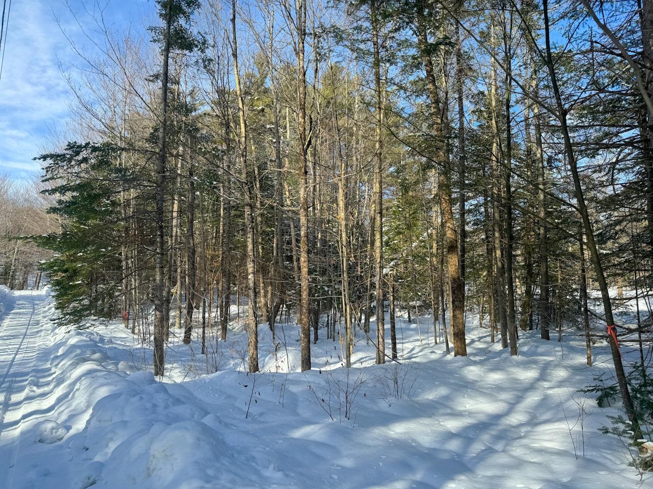 0 Beech Street Warren, VT 05674 - Photo 39 of 40