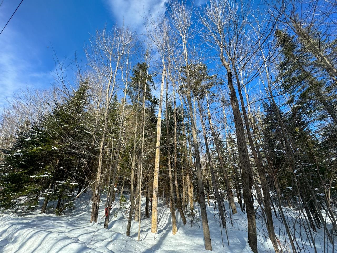 0 Beech Street Warren, VT 05674 - Photo 4 of 40