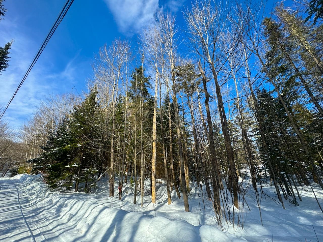 0 Beech Street Warren, VT 05674 - Photo 5 of 40