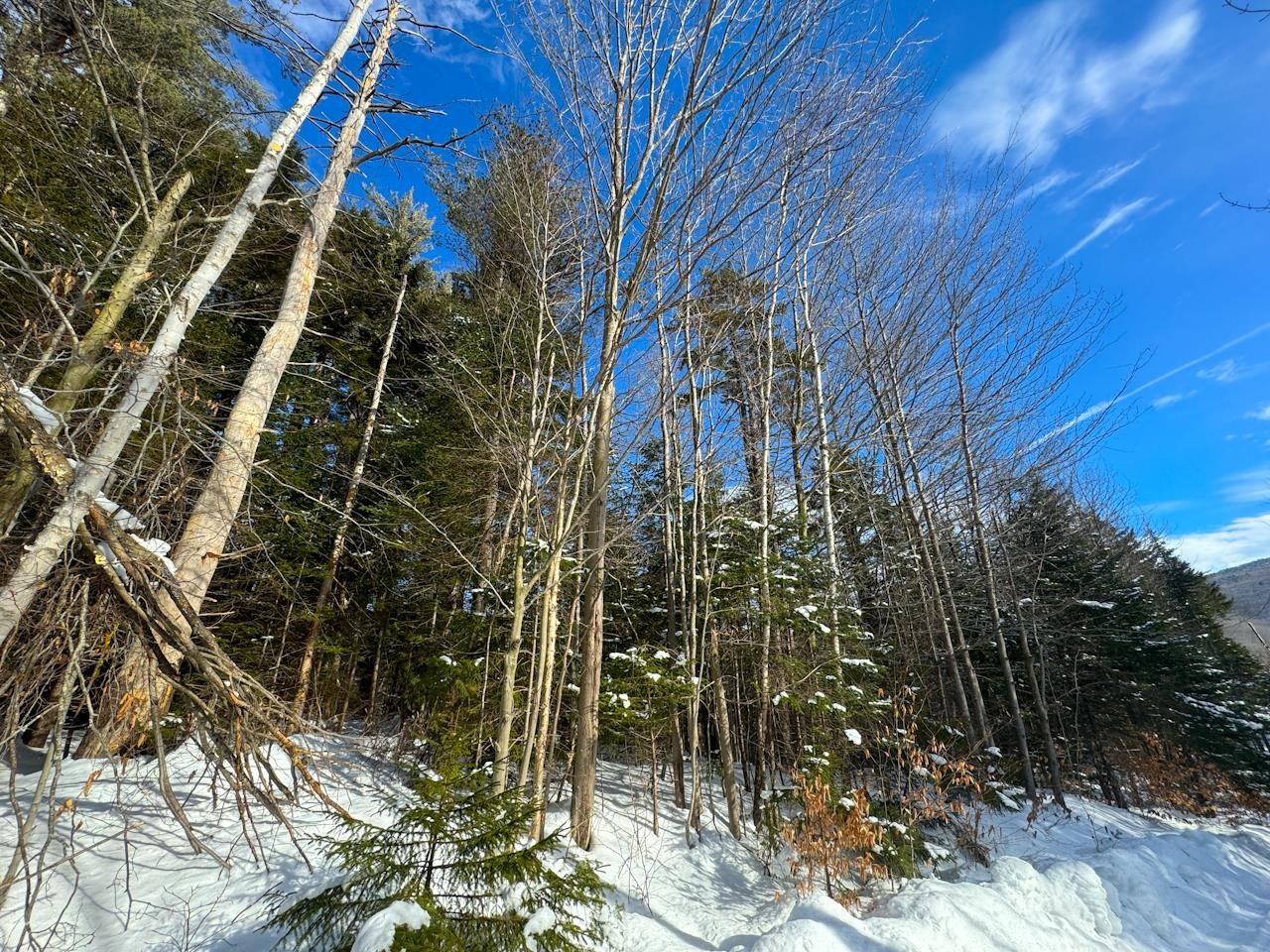 0 Beech Street Warren, VT 05674 - Photo 7 of 40