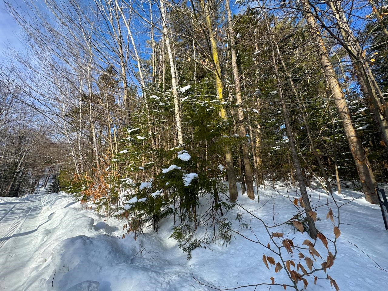 0 Beech Street Warren, VT 05674 - Photo 8 of 40