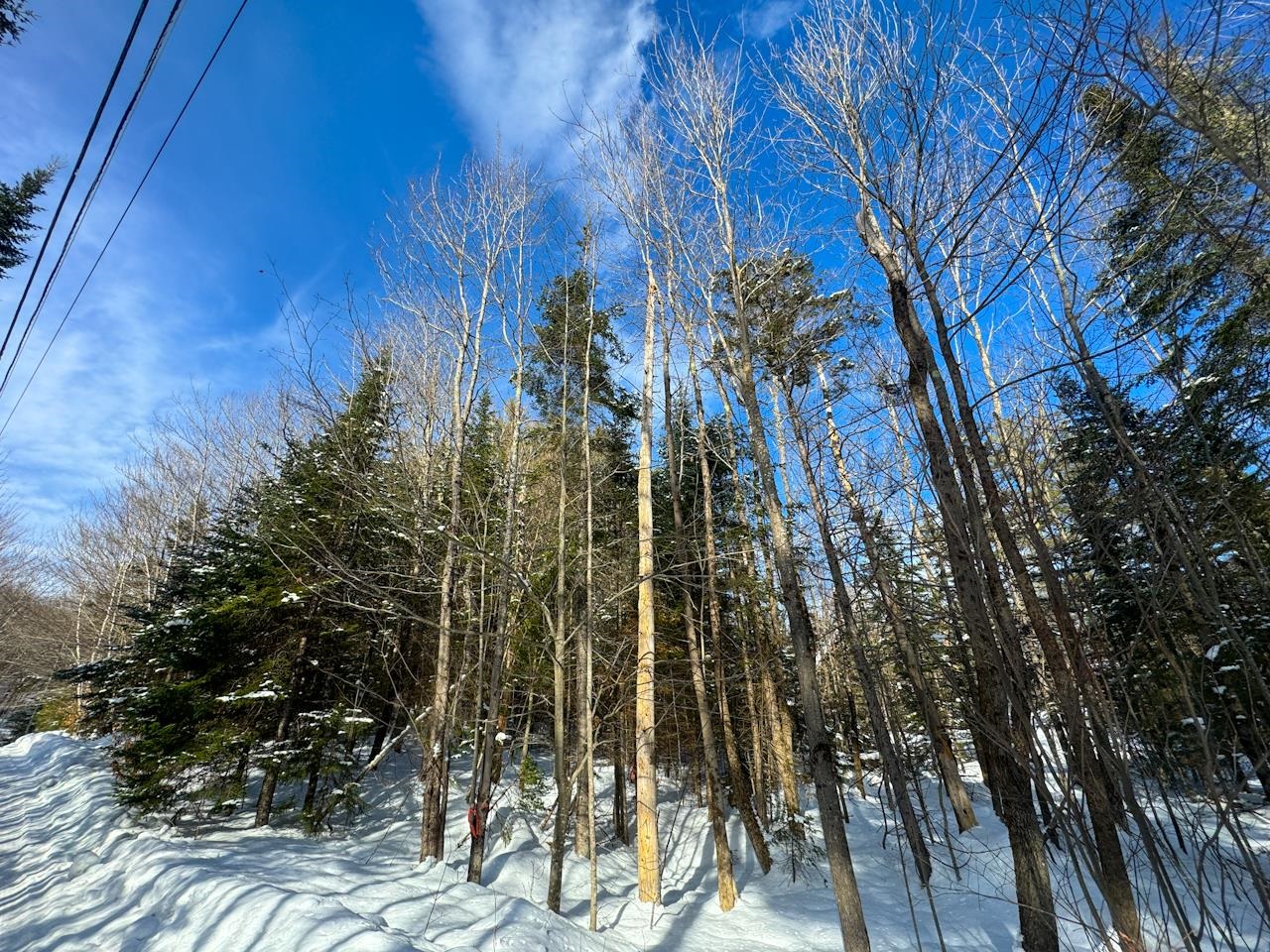 0 Beech Street Warren, VT 05674 - Photo 9 of 40