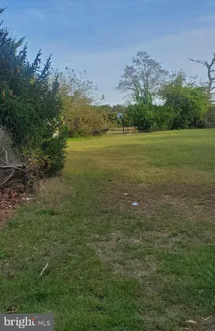 a view of a field with an ocean