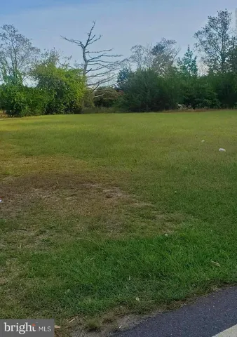 a view of a field with an trees