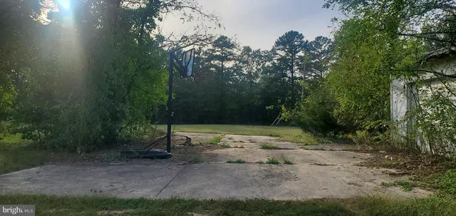 a view of a yard with a tree