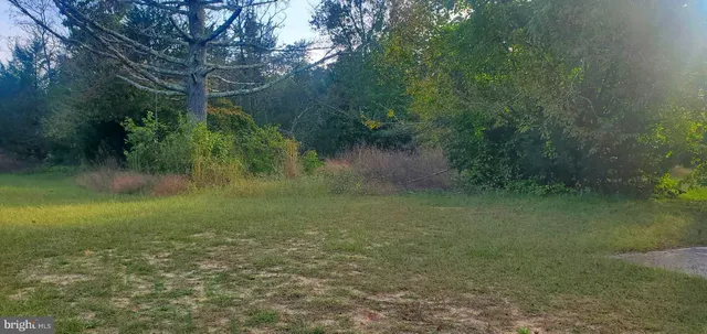a view of a garden with a lake