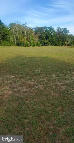 a view of an ocean from a yard