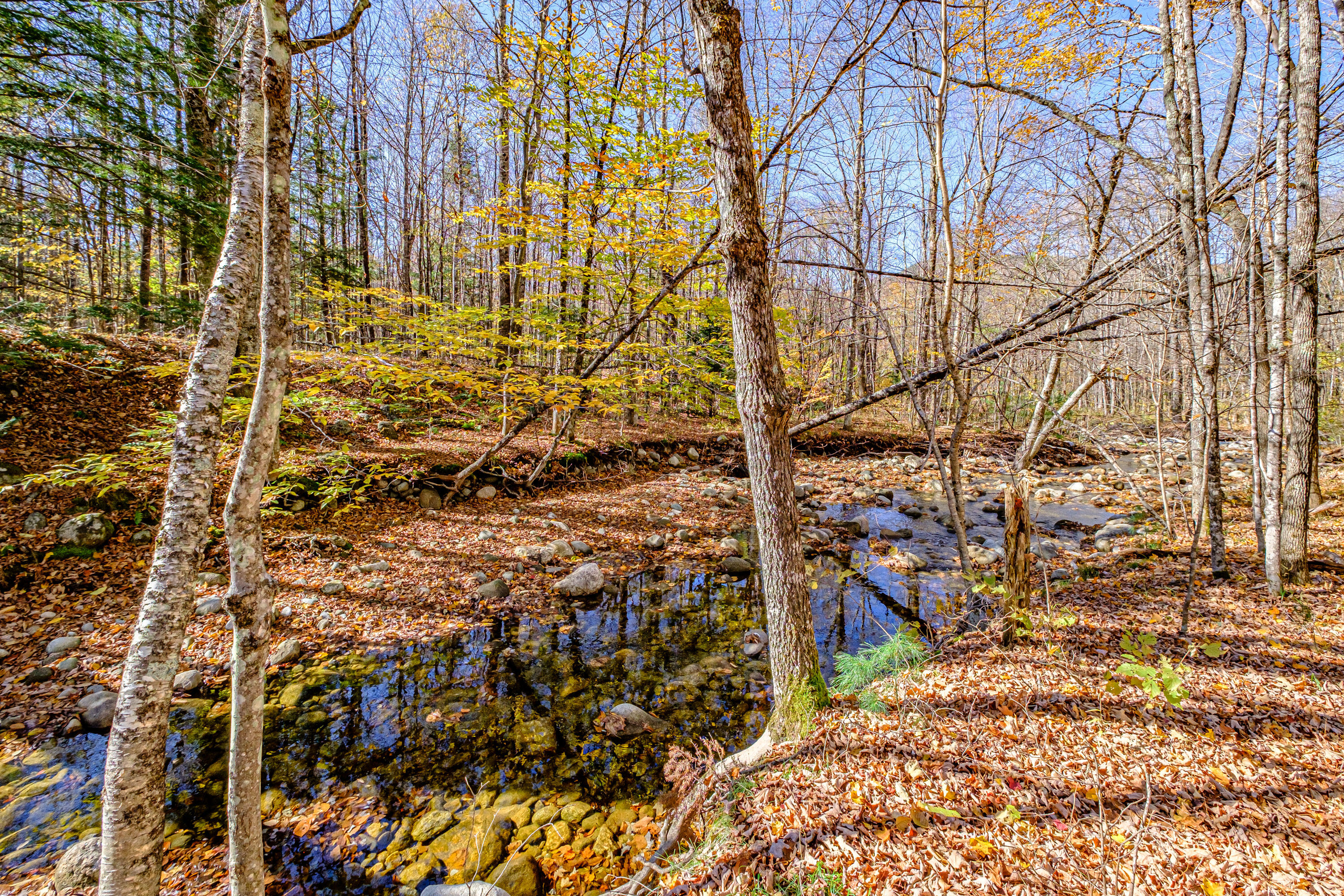 734 Bear River Road Newry, ME 04261 - Photo 45 of 54 20241017gp-62050