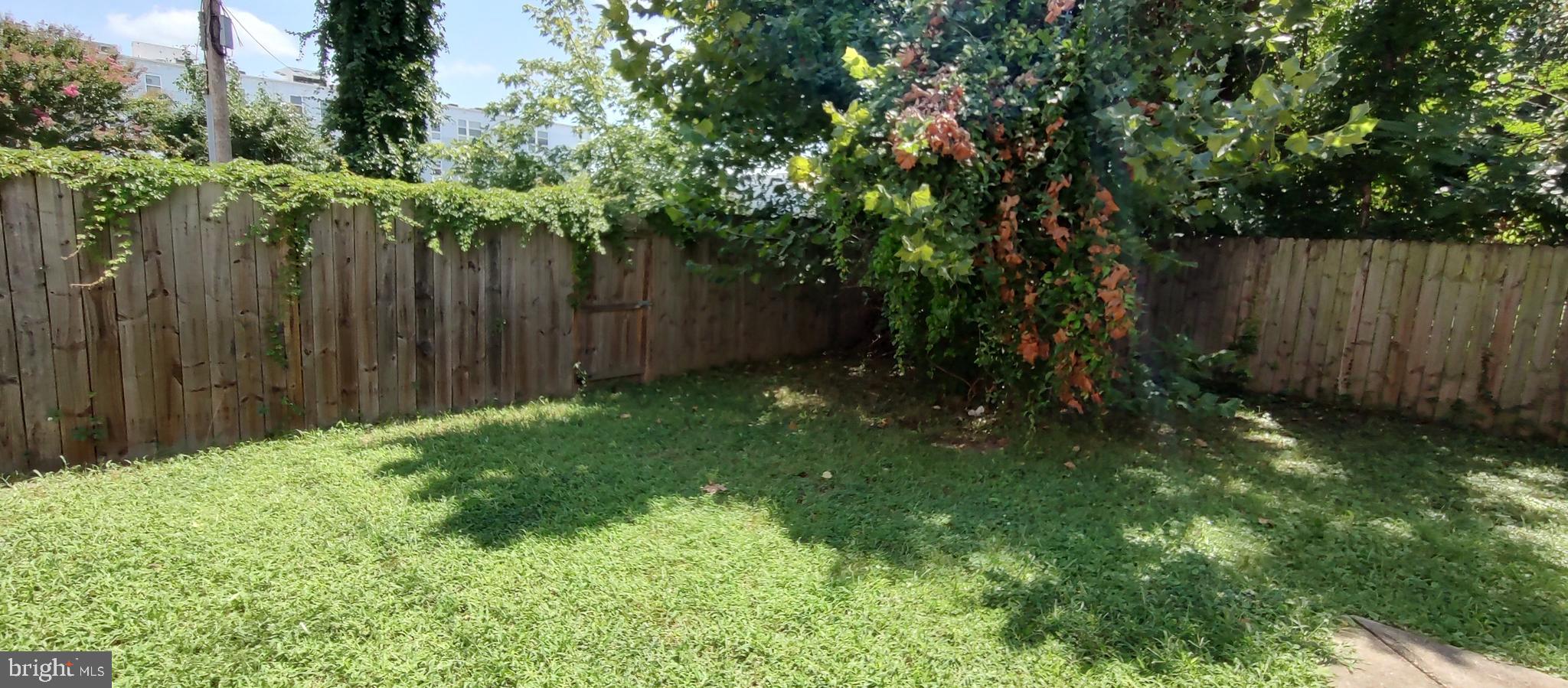 2019 Barclay Street Baltimore, MD 21218 - Photo 27 of 39 a view of backyard with tree