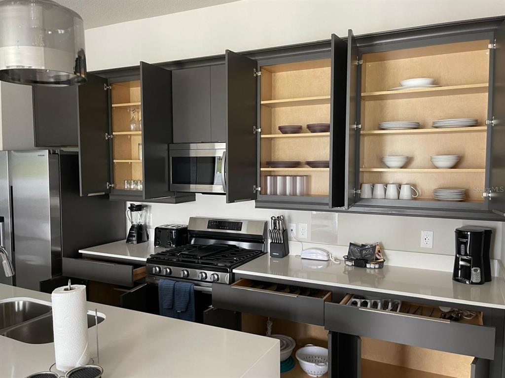 7770 Sandy Ridge Drive, Unit 145 Reunion, FL 34747 - Photo 9 of 27