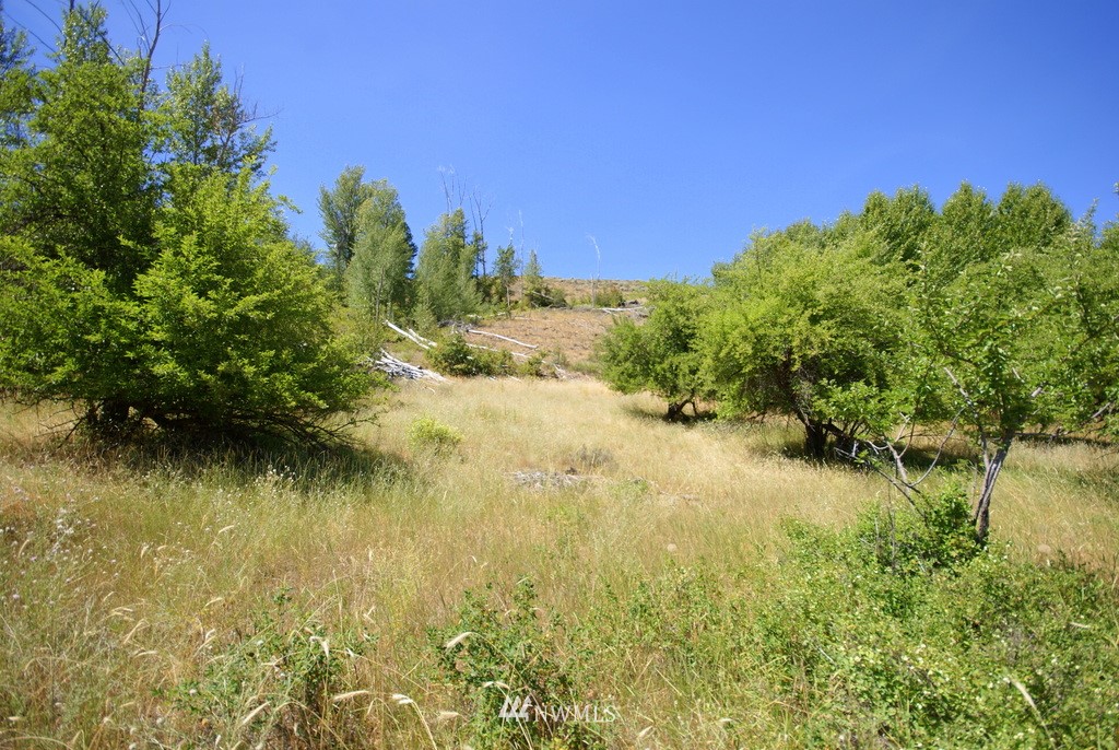 -4 Lot 4-lot Williams Road Winthrop, WA 98862 - Photo 1 of 25 Gallery Image 1