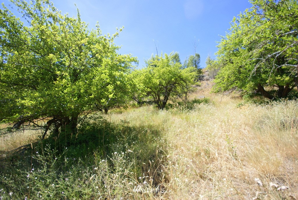 -4 Lot 4-lot Williams Road Winthrop, WA 98862 - Photo 2 of 25 Gallery Image 2