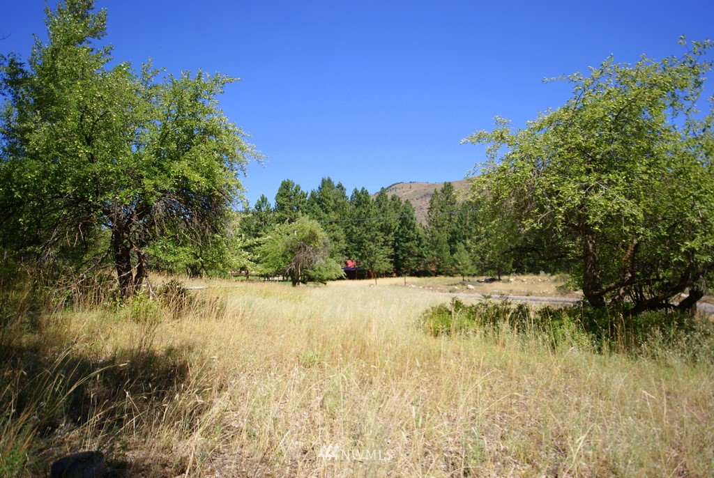 -4 Lot 4-lot Williams Road Winthrop, WA 98862 - Photo 11 of 25 Gallery Image 11