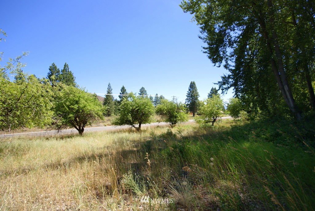 -4 Lot 4-lot Williams Road Winthrop, WA 98862 - Photo 12 of 25 Gallery Image 12
