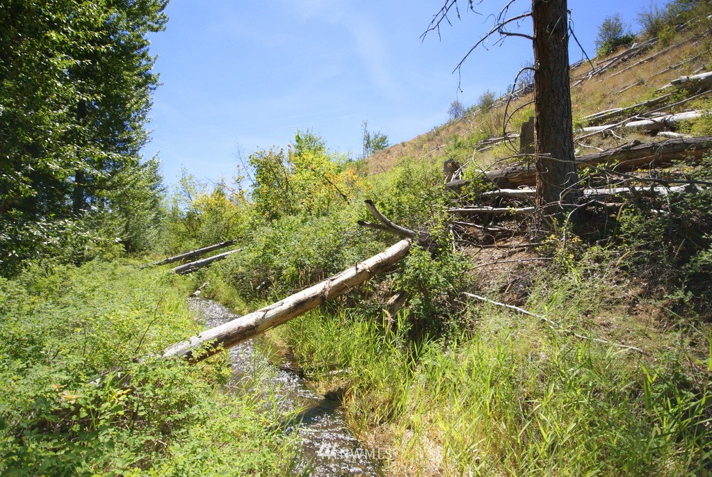 -4 Lot 4-lot Williams Road Winthrop, WA 98862 - Photo 13 of 25 Gallery Image 13