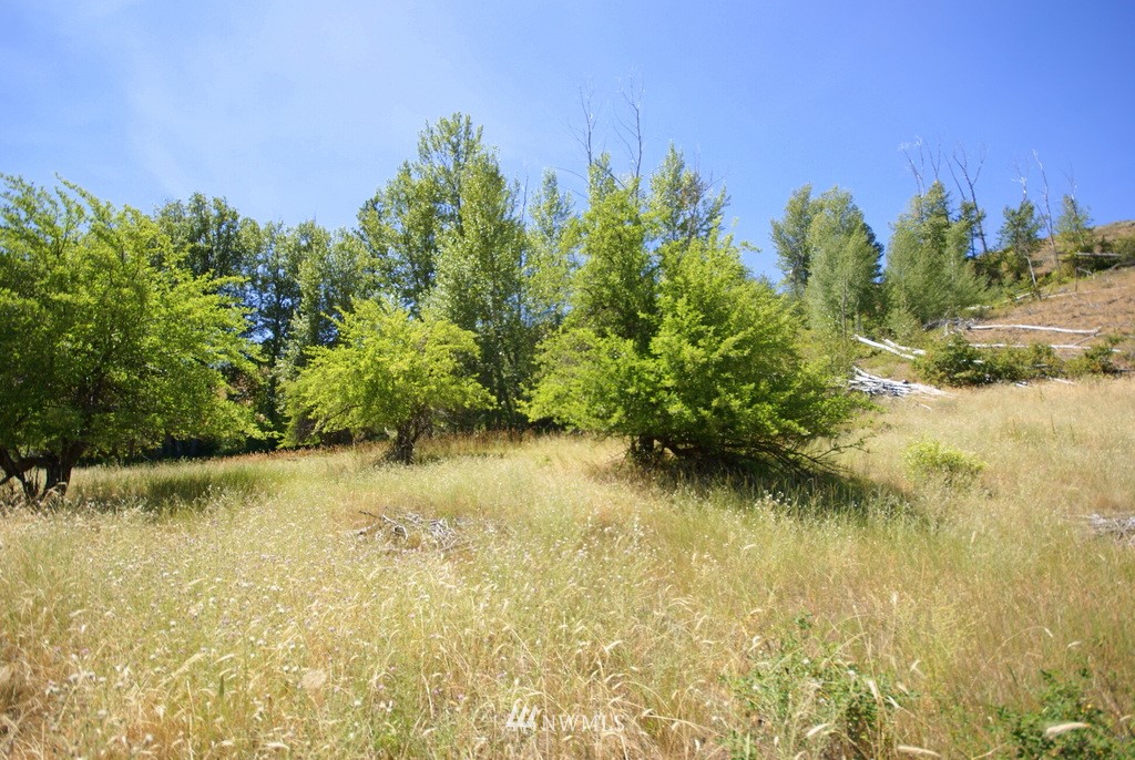 -4 Lot 4-lot Williams Road Winthrop, WA 98862 - Photo 14 of 25 Gallery Image 14
