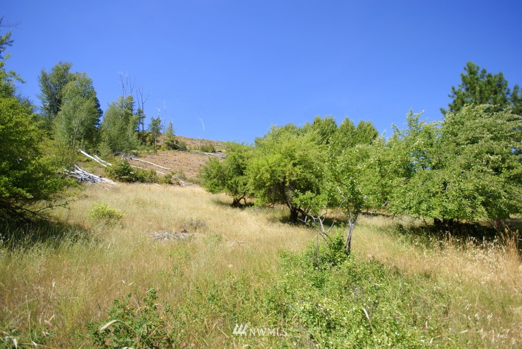-4 Lot 4-lot Williams Road Winthrop, WA 98862 - Photo 15 of 25 Gallery Image 15