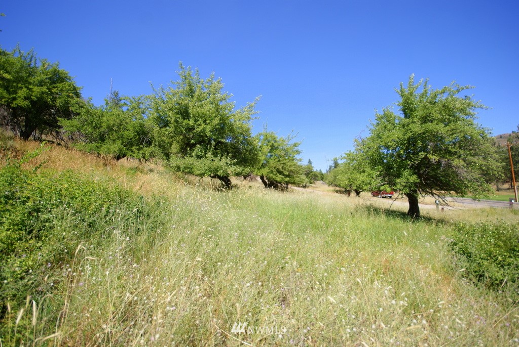 -4 Lot 4-lot Williams Road Winthrop, WA 98862 - Photo 16 of 25 Gallery Image 16