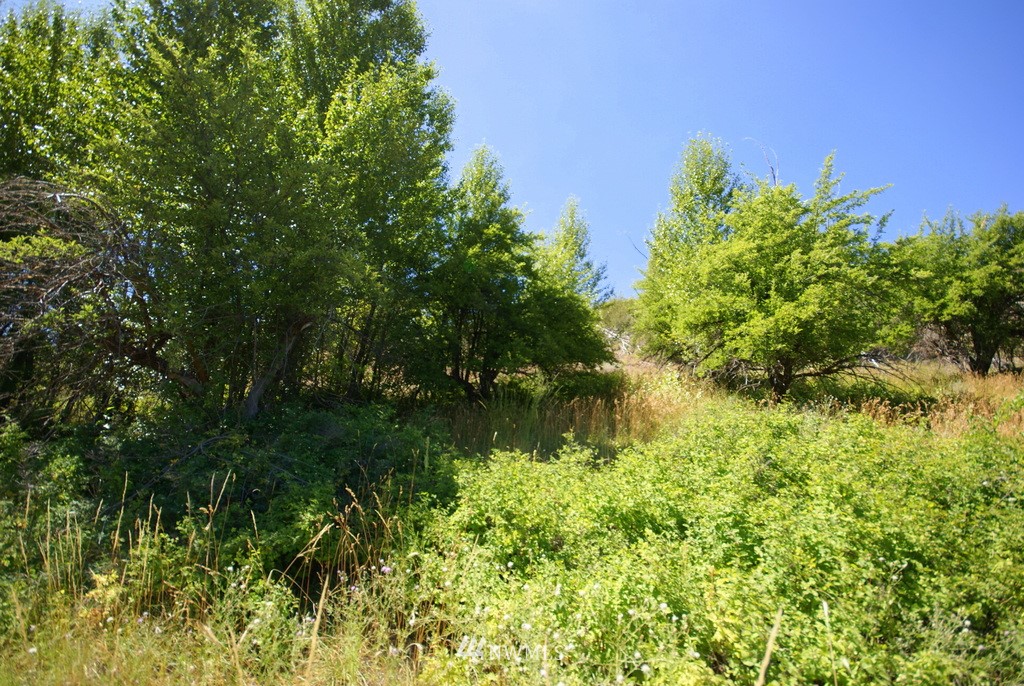 -4 Lot 4-lot Williams Road Winthrop, WA 98862 - Photo 17 of 25 Gallery Image 17