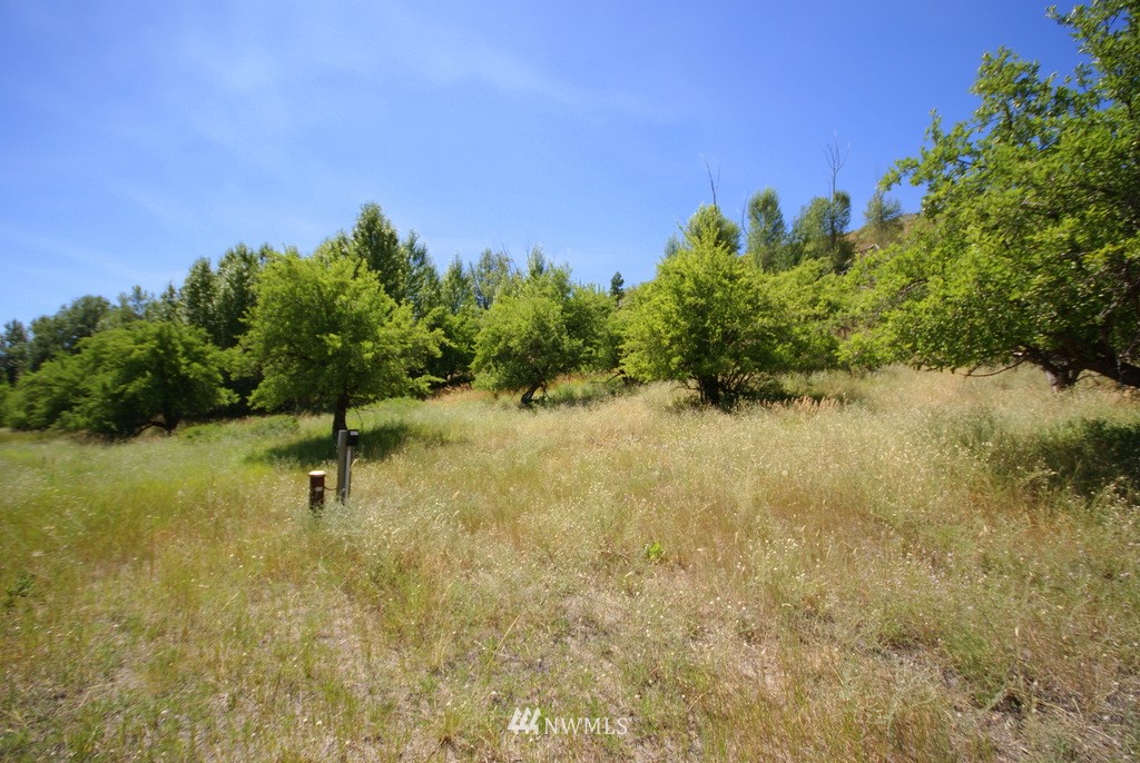 -4 Lot 4-lot Williams Road Winthrop, WA 98862 - Photo 18 of 25 Gallery Image 18