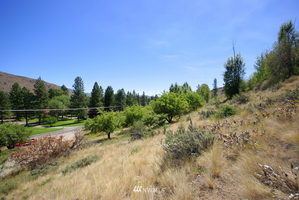 -4 Lot 4-lot Williams Road Winthrop, WA 98862 - Photo 20 of 25 Gallery Image 20