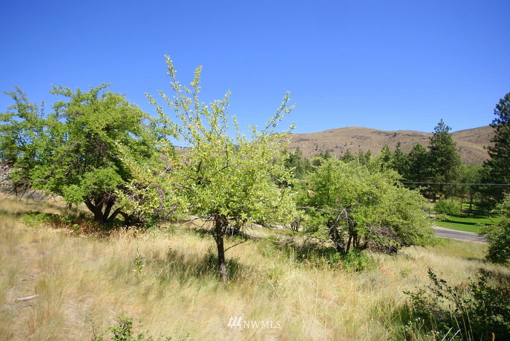 -4 Lot 4-lot Williams Road Winthrop, WA 98862 - Photo 3 of 25 Gallery Image 3