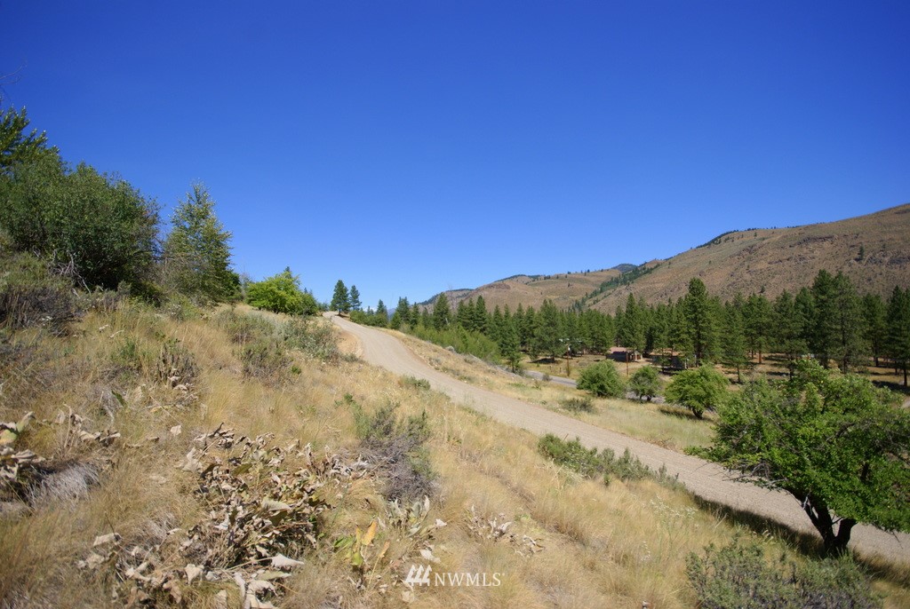 -4 Lot 4-lot Williams Road Winthrop, WA 98862 - Photo 21 of 25 Gallery Image 21