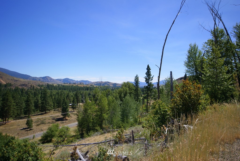 -4 Lot 4-lot Williams Road Winthrop, WA 98862 - Photo 22 of 25 Gallery Image 22