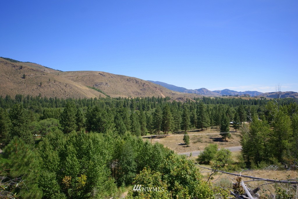 -4 Lot 4-lot Williams Road Winthrop, WA 98862 - Photo 23 of 25 Gallery Image 23