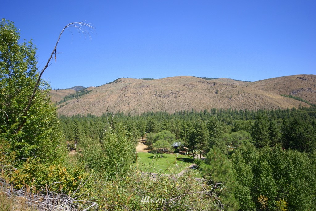 -4 Lot 4-lot Williams Road Winthrop, WA 98862 - Photo 24 of 25 Gallery Image 24