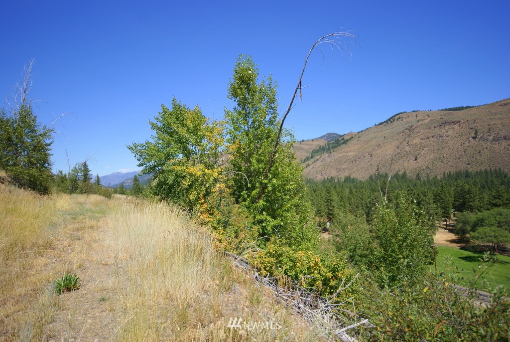 -4 Lot 4-lot Williams Road Winthrop, WA 98862 - Photo 25 of 25 Gallery Image 25