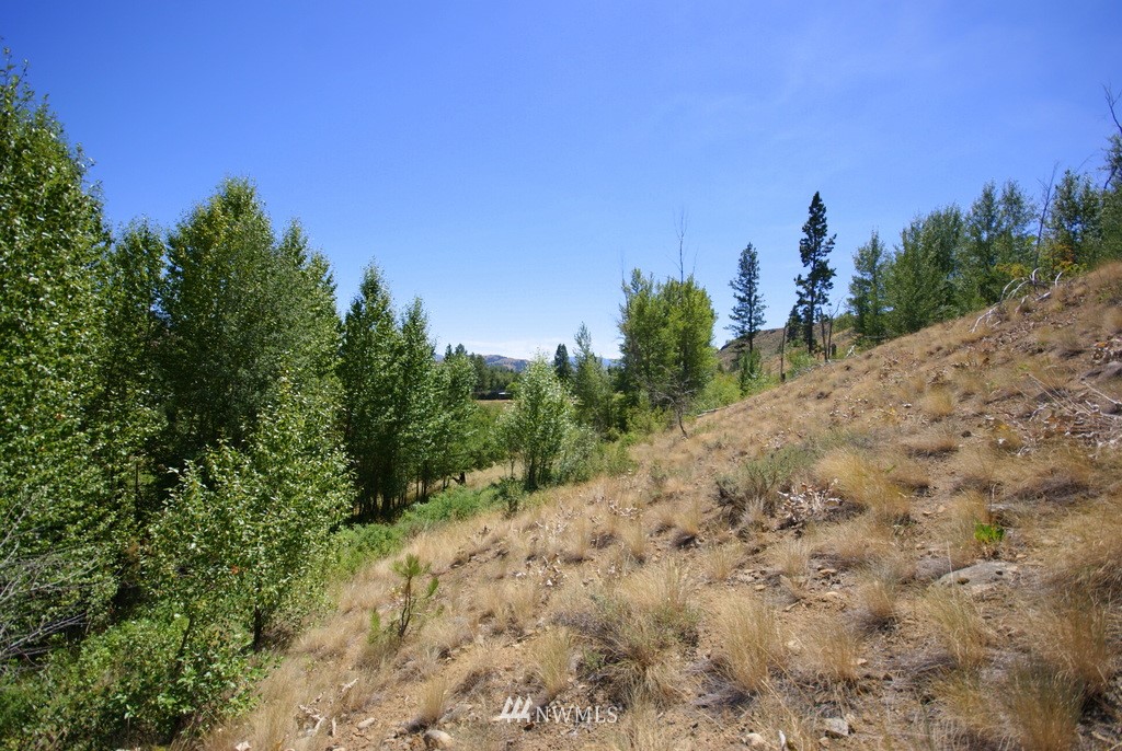 -4 Lot 4-lot Williams Road Winthrop, WA 98862 - Photo 4 of 25 Gallery Image 4
