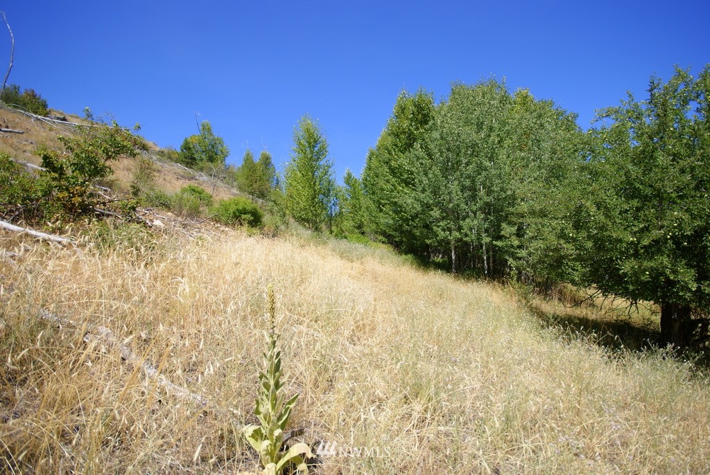 -4 Lot 4-lot Williams Road Winthrop, WA 98862 - Photo 5 of 25 Gallery Image 5