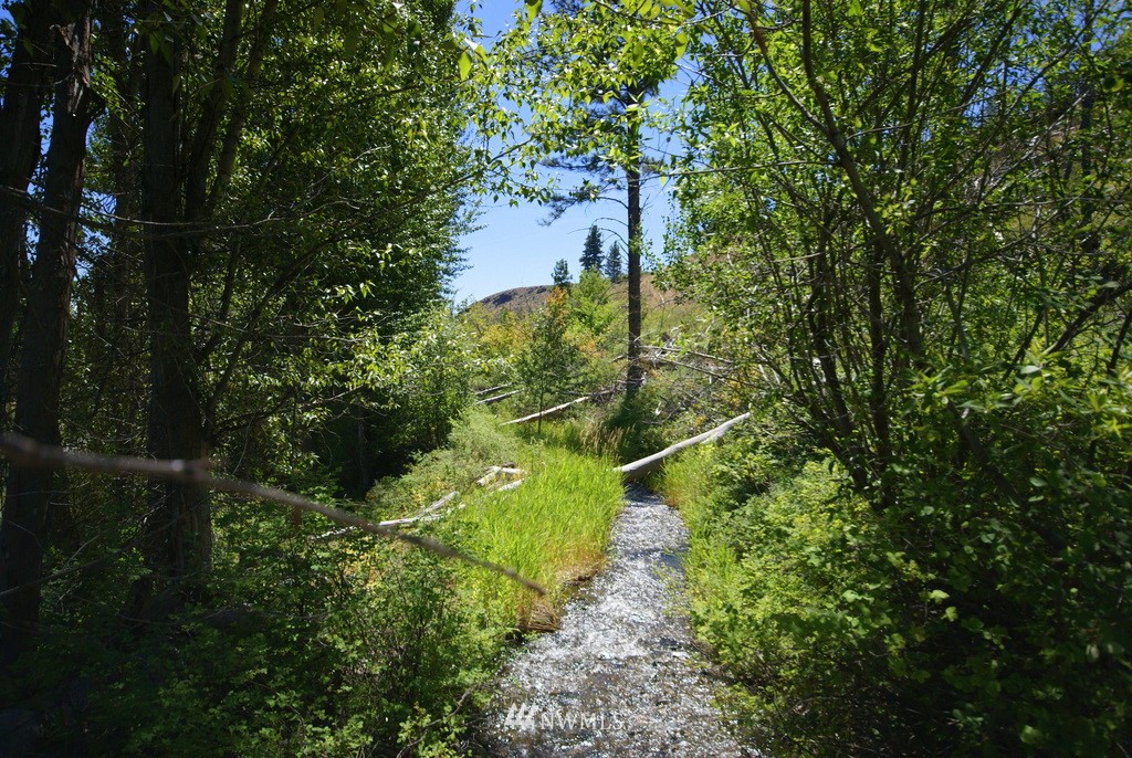 -4 Lot 4-lot Williams Road Winthrop, WA 98862 - Photo 6 of 25 Gallery Image 6
