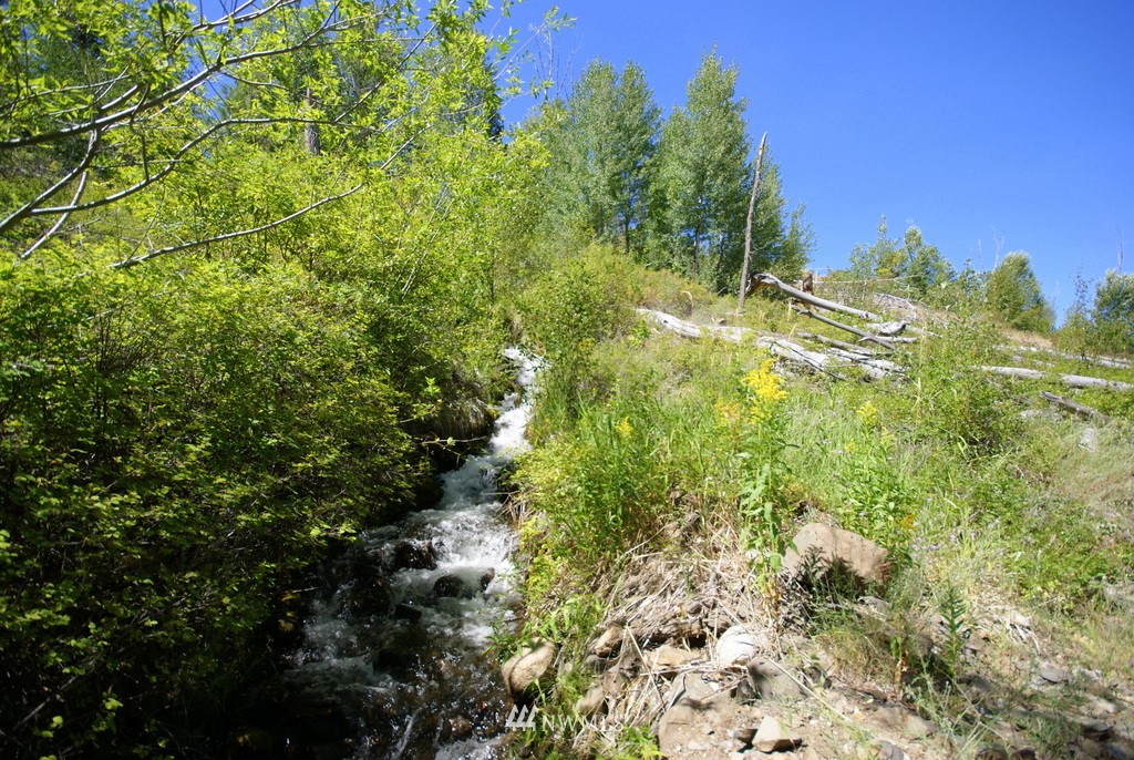 -4 Lot 4-lot Williams Road Winthrop, WA 98862 - Photo 7 of 25 Gallery Image 7